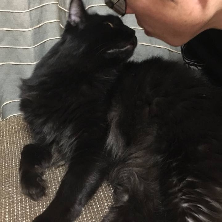 49b2eb9f d93c 468a 8a12 0007a1f07495 1516184907991