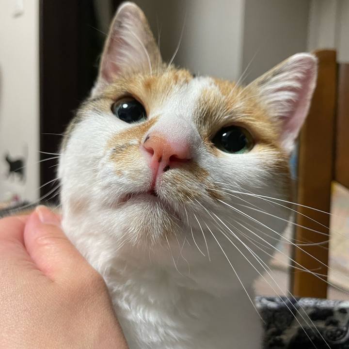 49b2f5ea feef 481c 80db da5ec4197baf 1653652699563