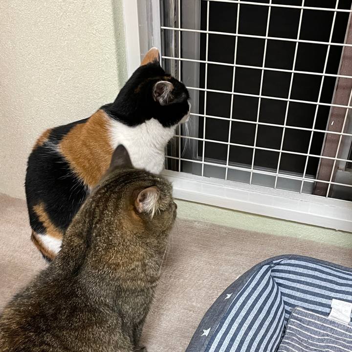 49b30cc8 10da 4d38 b379 0fec3ddc4c66 1620570251738