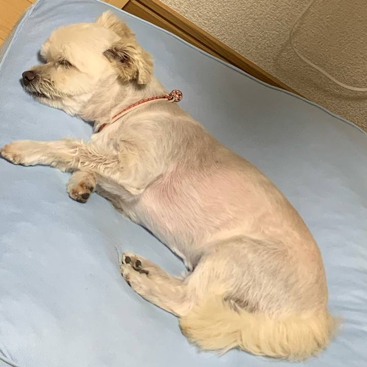 49b3724a ba0f 4c43 99eb 975306bfc8a1 1628422773241