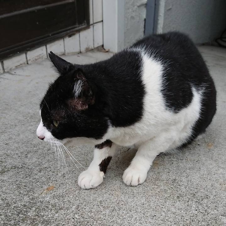 49b3774c f76c 4e11 9e0e 5a965281d70e 1666070219332