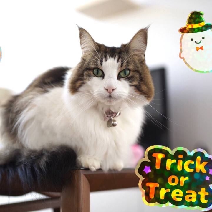 49b3af8a 9036 438a 9b86 fcbb998fa394 1635655055206