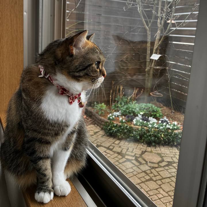 49b3e540 63b3 4411 a03a eb15819e8944 1771546539183