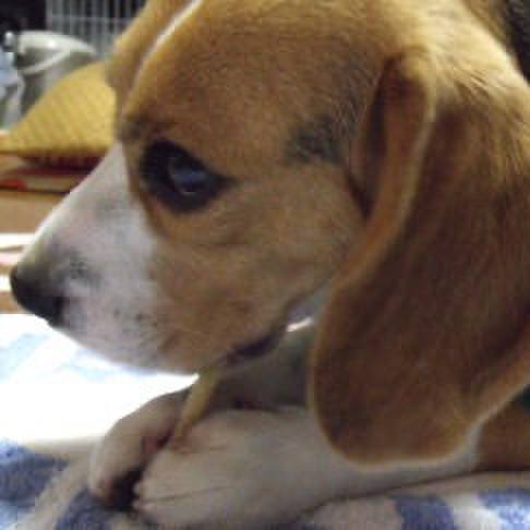 49b3e81e 7393 4247 a76e 7b1cda268b44 1716854019364