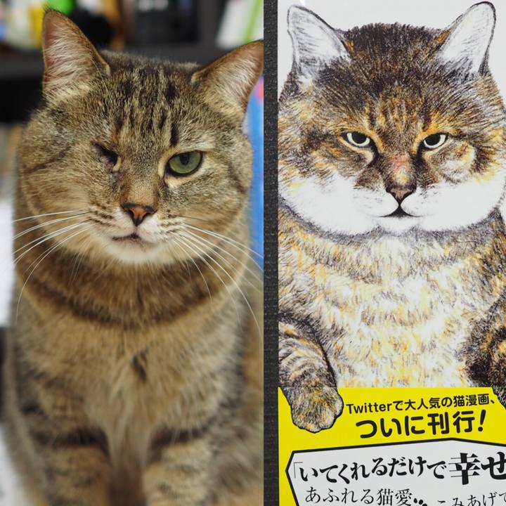 49b40d11 91e9 46ab b381 5265b79a5a98 1525700261490