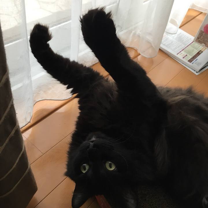 49b467aa 4f46 48b0 9243 94be10c9f9ea 1540778793822