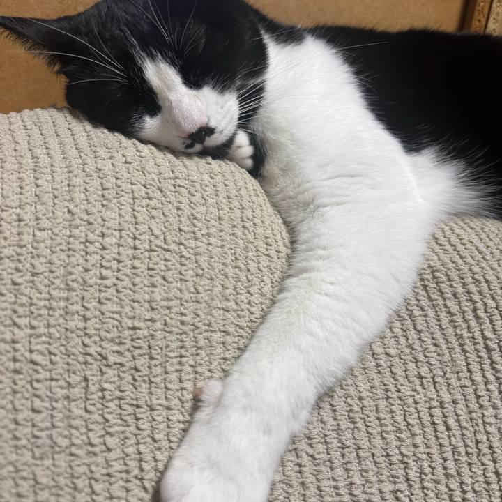 49b49594 e1a7 424c a8a3 0956da04f693 1764210225490