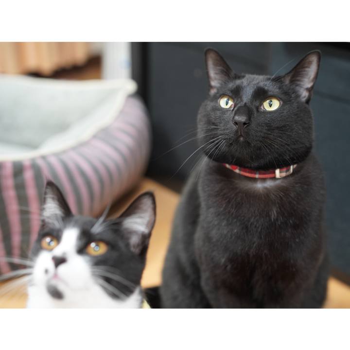 49b4b779 e896 4424 963d 263526843b25 1579338943684