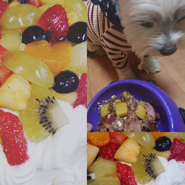 49b4d9e0 e1b5 4a49 bd24 2c465c2f7a6c 1608895824163