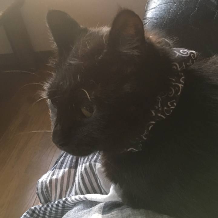 49b4df49 42ba 4c4a 80fe 82efd3bd860e 1536956816321