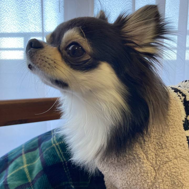 49b532dc 196f 4c7f b0cd 859518dc911c 1644575804854