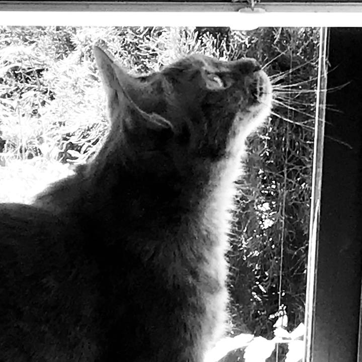 49b55393 e85f 497e a348 8e6d0f619dc0 1532659859533