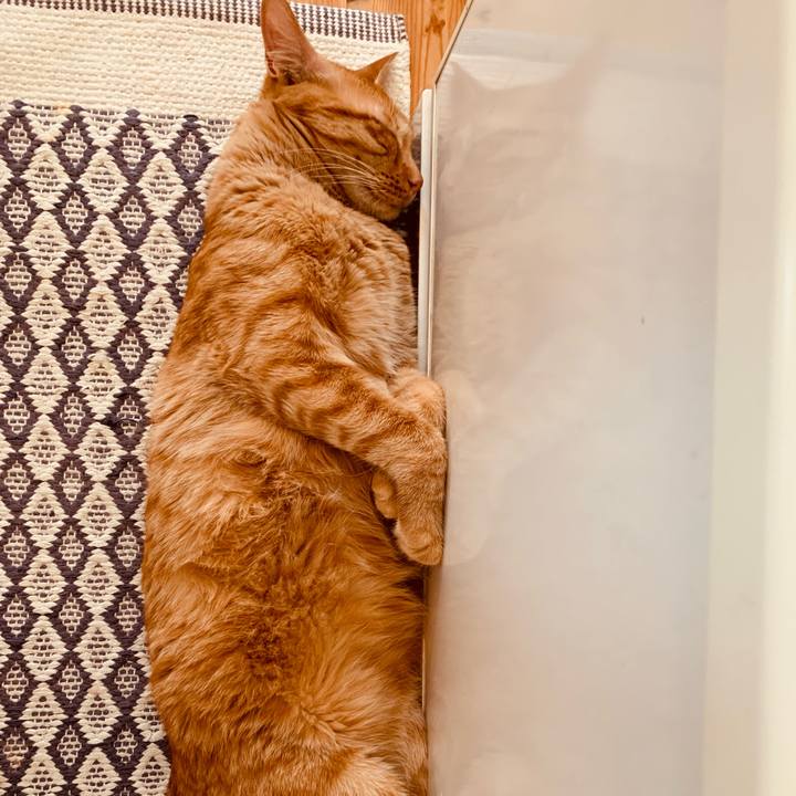 49b554be 17e0 4c81 8735 9a93d8ba041c 1689572712839