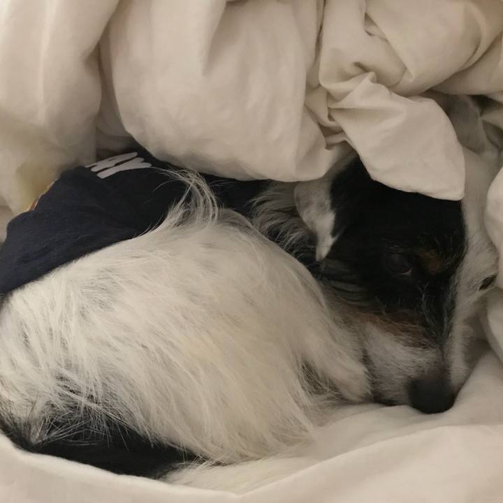 49b56085 ae81 49d5 a1e2 642c81d286dc 1523886403567