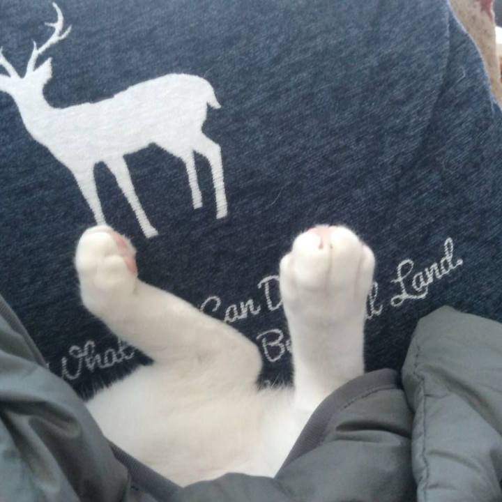 49b57b5a 547c 4727 8322 00328a02502f 1704943642366