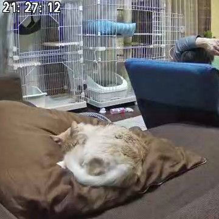 49b59356 5d80 441a a791 2612f625850d 1644582508690