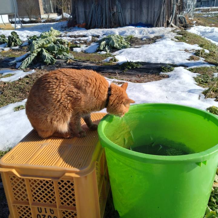 49b5b178 fd65 483c b177 312e42aeb2e2 1703728030068