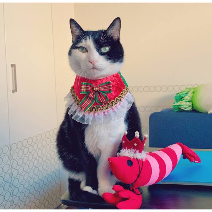 49b5d62f 6e48 4290 9010 af804768a50b 1640297219677