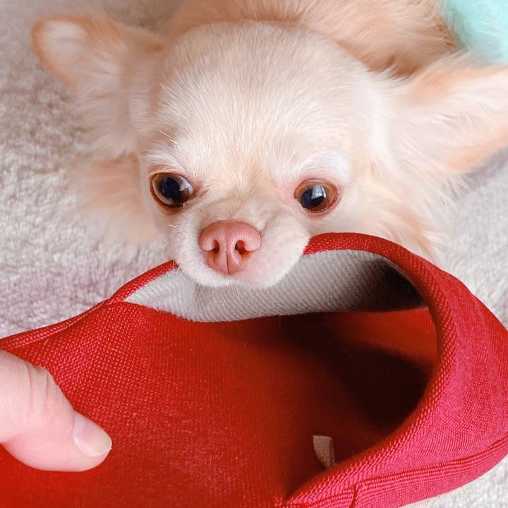 49b5e414 0268 4c00 8db8 7900f7be7ba3 1640948854023