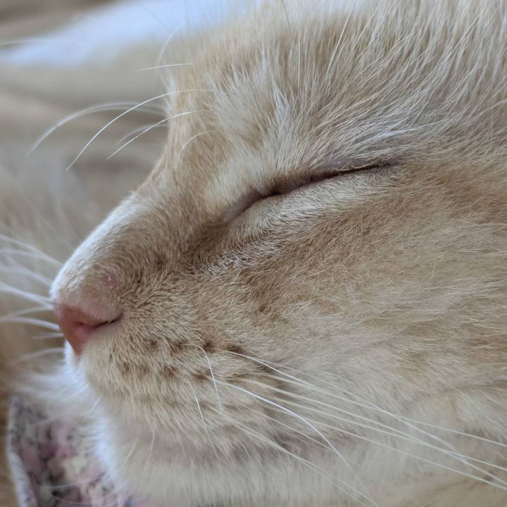 49b5f9e1 60aa 4a3a 83f8 9074df93acd7 1759900647564