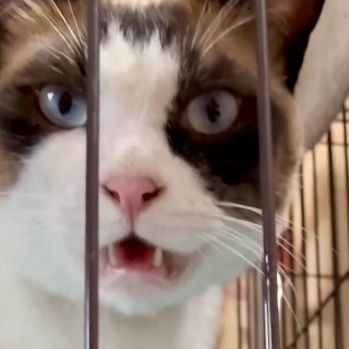 49b60a45 83ea 4dbf b443 b014a9527b71 1753263268366