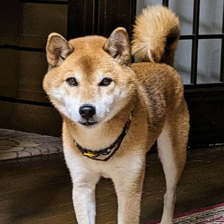 49b60e58 c260 45ab b603 dcdf0ef9c232 1695730450730