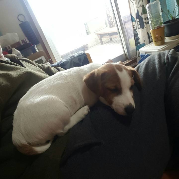 49b6123c c140 40e2 8638 a2ec782b85f6 1550360962506