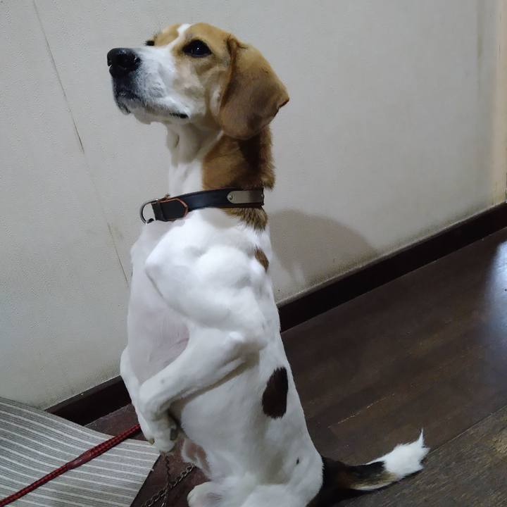 49b6249d 3d52 467f 90dc 4b3006f5fb07 1645018647322