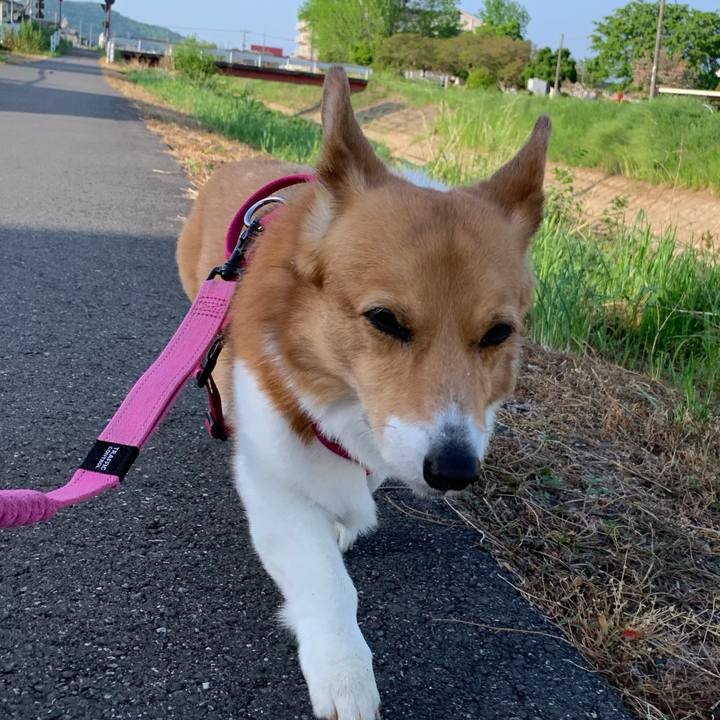 49b634e8 90b8 4dba 858a 82dd37cd5c1c 1714300273978