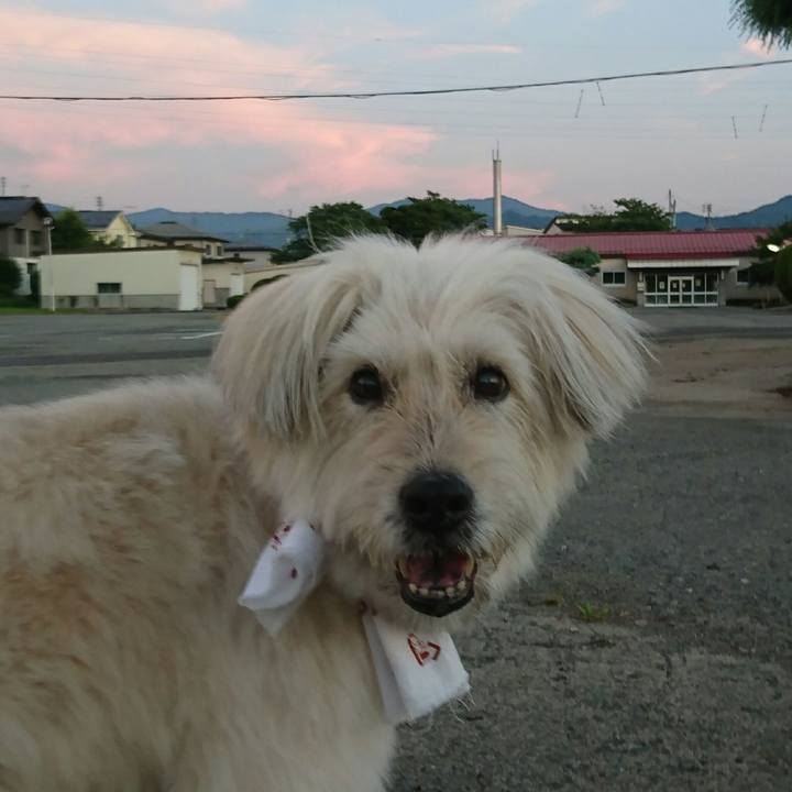 49b63789 1a1e 434e 835e 2cdf066165a5 1564745161766