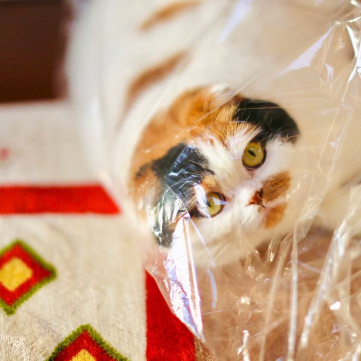 49b641f9 0b09 4b05 a80e 8fa87d09c5be 1611536792915