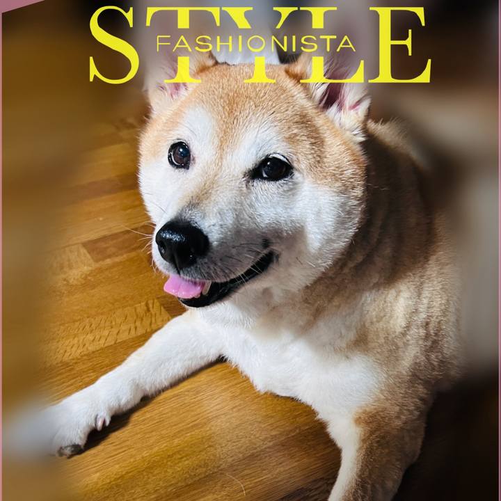 49b6521c e2b6 4a45 bcc3 c8fe9beaad09 1725585937450