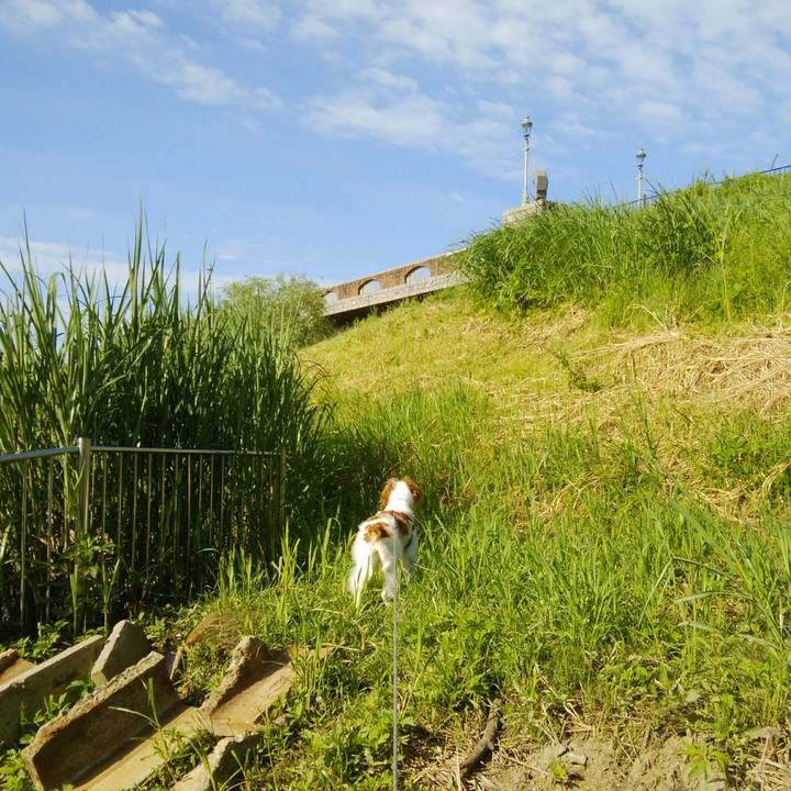 49b65d3d 6571 4f77 9999 a02c6c39feae 1526860650208