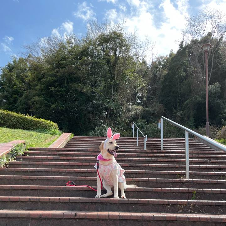 49b67129 9978 4d7d 88b1 75211de5c8e7 1648592775207