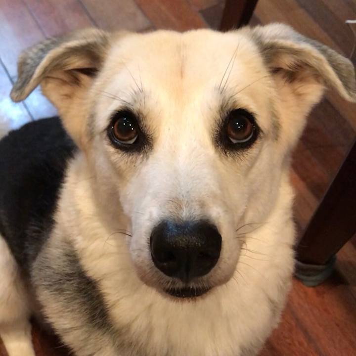 49b67fb4 1d5b 4ae5 ae80 7acbfd30a5cb 1561895544919