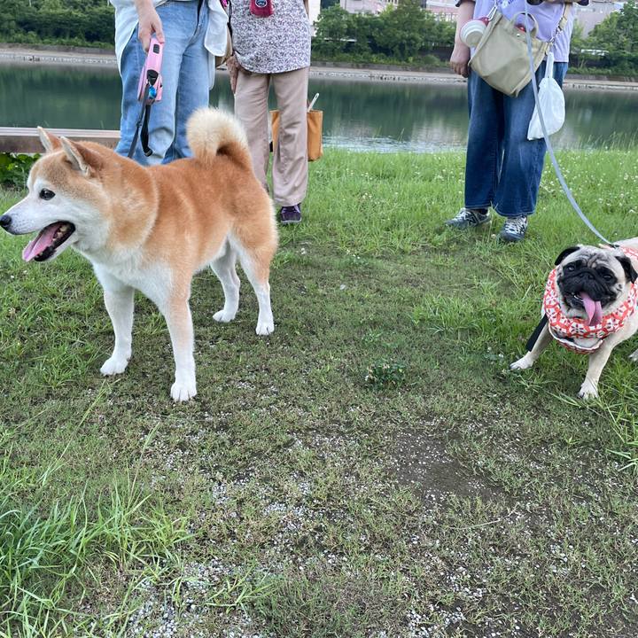 49b6ca18 4e70 4ffc 85a0 eeee068678b2 1657110443047