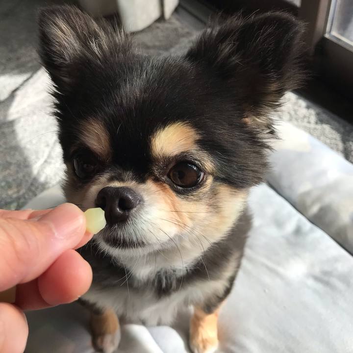 49b70394 2f2b 4692 9271 b6cc4c5325cc 1608003557883