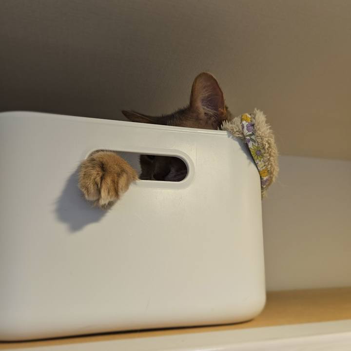 49b723c5 56fe 41b6 8bce 94d5b36de40b 1769342095526