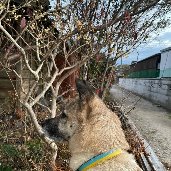 49b73849 0c8a 432c 9a3d 693d6f0df88d 1642593180792