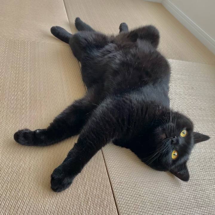 49b78097 1726 4c7c 96f0 0ec8943477f9 1630273751488