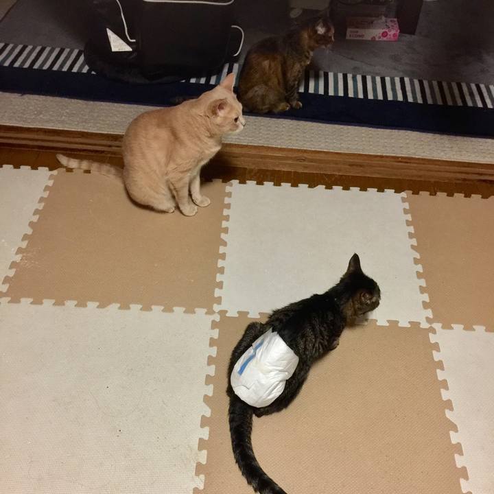 49b797b2 9a33 4d57 a12b 509736c2d3c5 1534878859036