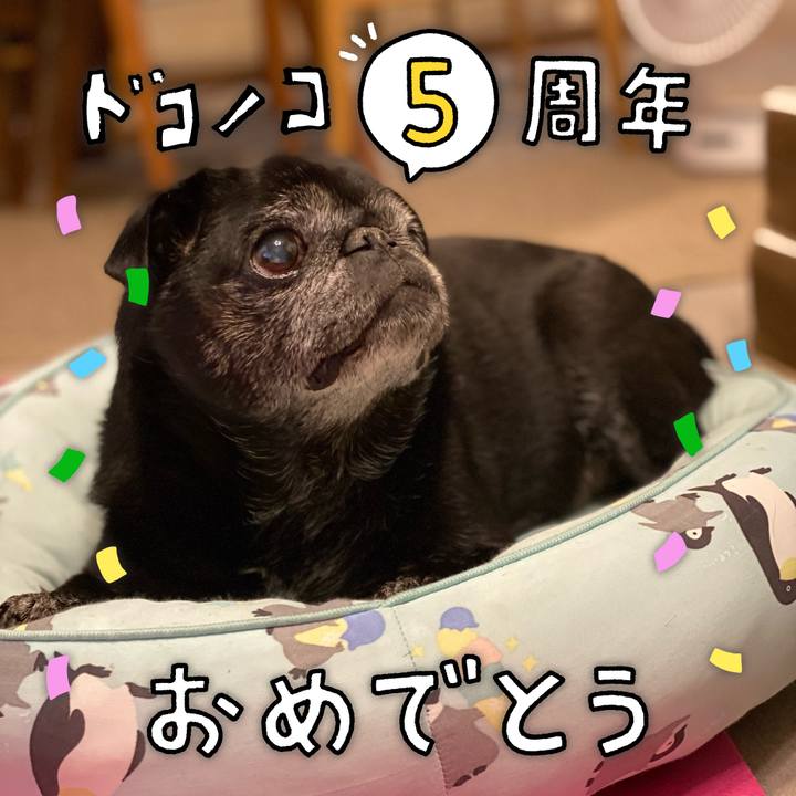 49b7e2fc 24c4 481a 8a34 cc96137e0ed4 1622872756934