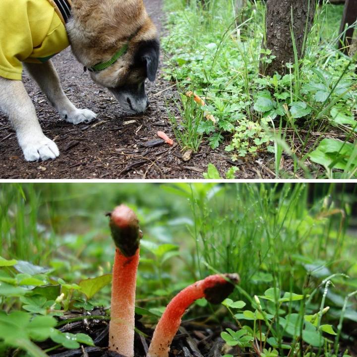 49b7e471 e6d2 4144 bd4a eca2fb9344f8 1529803731132