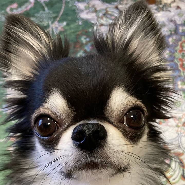 49b8217a 7d20 4ca5 a24f 22122158bd7d 1654297361803