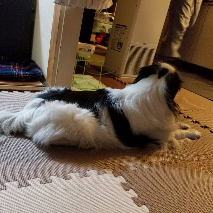 49b82403 193c 4242 9794 bf00a9832e09 1548495436805