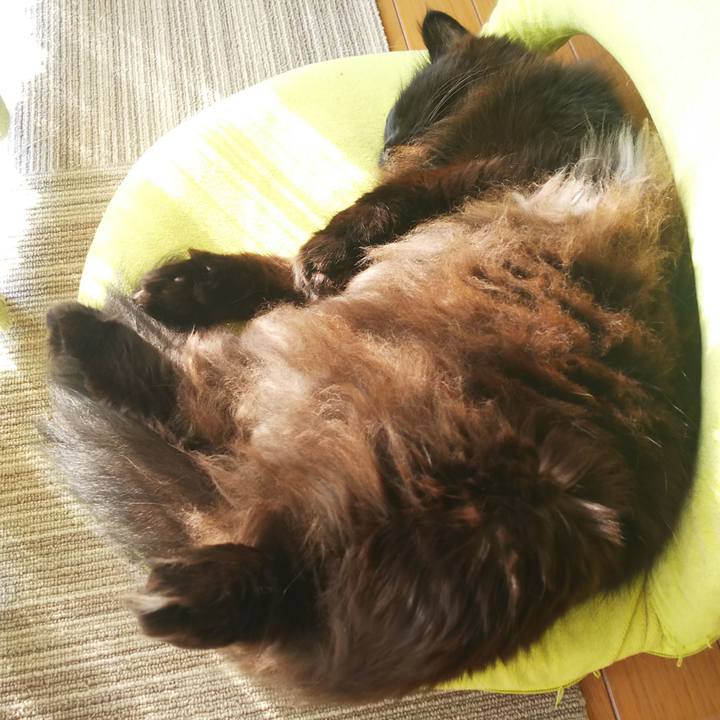 49b82aa8 28e4 4ca3 83e5 ff6d2416d69c 1552371510368