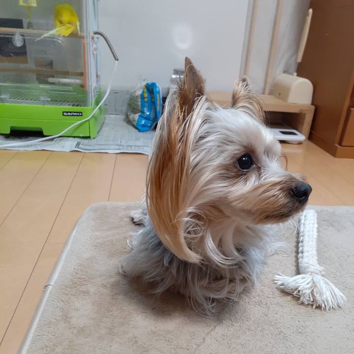 49b8408e b6d7 458c a209 d76abed10d62 1582762427971