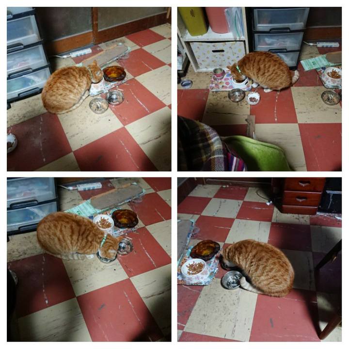 49b84481 1d89 48f4 9929 c0c5e790f8f3 1580069287447