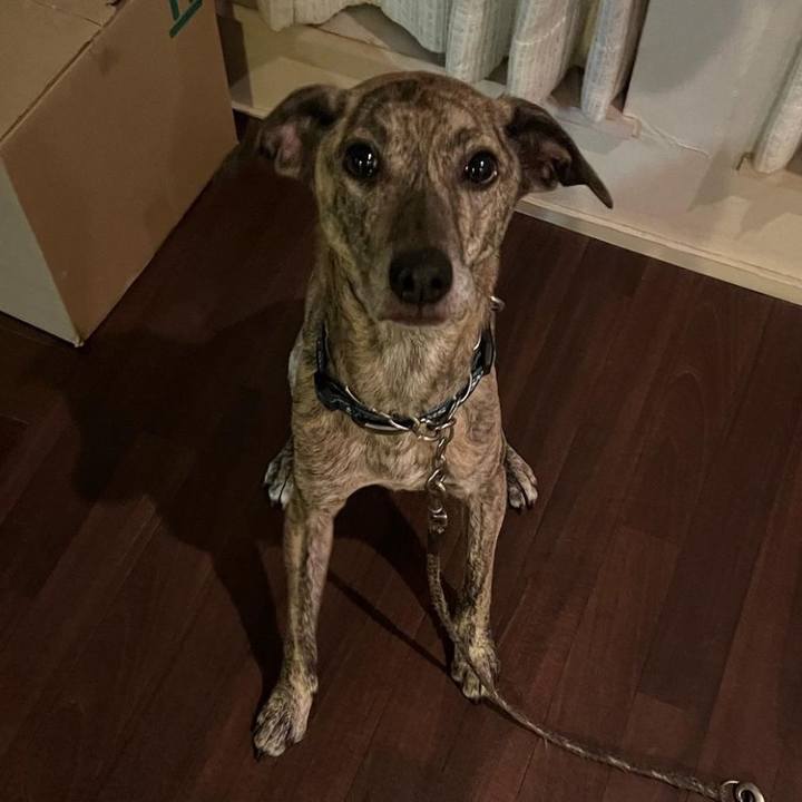 49b865c7 4f2e 476a 9e83 5a50559da04b 1671051280313