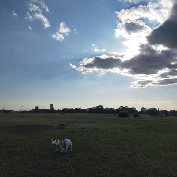 49b8b306 1929 4d17 9b35 c8f3dbb43cf3 1636098351389